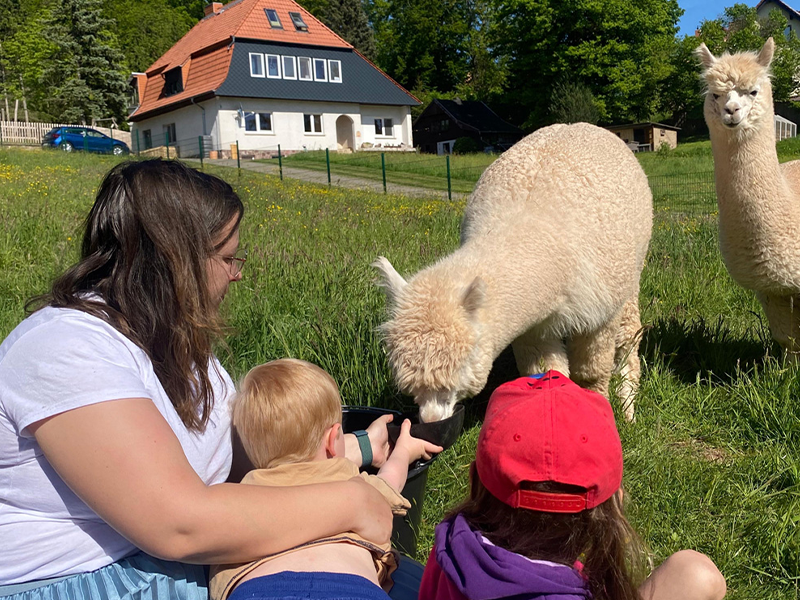 Arbeiten in der Kinder- und Jugendhilfe der Diakonie Gotha, z.B. als Sozialarbeiter. Auf dem Bild eine Sozialarbeiterin in Gotha beim Alpakafüttern